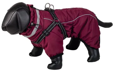 Hundemantel 2-in-1 Bordeaux 55 cm, wasser- und winddicht