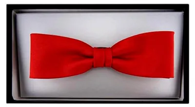 Produktbild von Schmale einfarbige Fliege mit Geschenkbox
