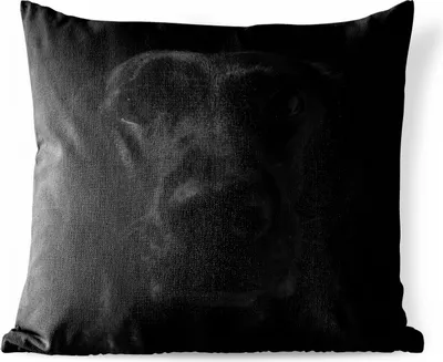 Produktbild von MuchoWow® Outdoor Kissen - Hund - Schwarz - Labrador - 60x60 cm - Wetterfest - Lounge Kissen - Dekoration - Schlaf Kissen