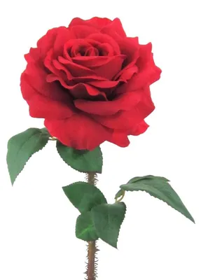 Produktbild von Kunstblume, Seidenblume, ROSE. Ca 60cm. Rosen 1 Stück. ROT