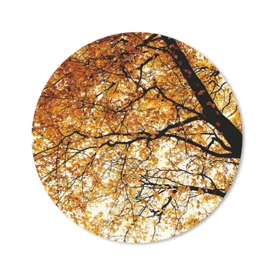 Produktbild von MuchoWow® Mauspad Mousepad Baum - Herbstblätter - Jahreszeiten - Rustikal 40x40 cm - Mousepads - Maus Mat - Pad - Mausunterlage - Schreibtisch Accessoires