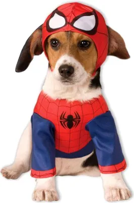 Produktbild von Spider-Man Hunde-Kostüm Größe: XL
