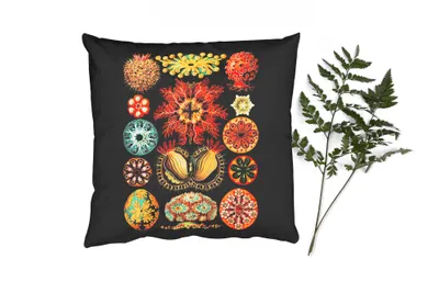 Produktbild von MuchoWow® Zierkissen Sofakissen Wohnzimmer Dekokissen 45x45 cm Vintage - Ernst Haeckel - Meerestier - Natur - Meer - Kunst - Schlafpolster - Polster für das Sofa