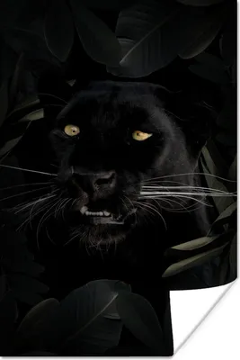 Produktbild von MuchoWow® Poster Panther - Dschungel - Pflanzen 120x180 cm - Kunstposter