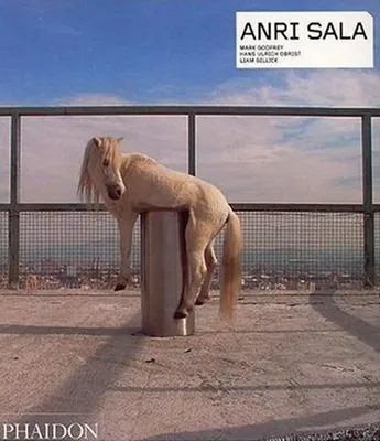 Immagine prodotto di Anri Sala