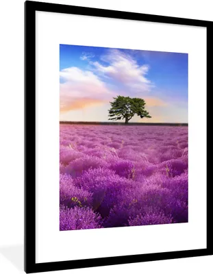 Produktbild von MuchoWow® Gerahmtes Poster Lavendel - Baum - Sonnenuntergang - Lila 60x80 cm - Poster mit Schwarzem Bilderrahmen Wandposter Rahmen Foto Bilder - Wohnzimmer - Dekorationen - Prämie