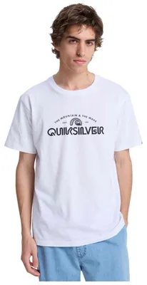 Produktbild von T-Shirt Quiksilver EV VISTA (WBB0) für Herren