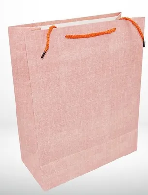 Immagine prodotto di Borsa regalo L 1385-1 - Casa Editrice Diocesana e Tipografia di Sandomierz