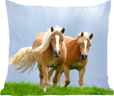 Produktbild von MuchoWow® Zierkissen Sofakissen Wohnzimmer Dekokissen 60x60 cm Pferde - Gras - Luft - Sitzfläche - Foto Polster