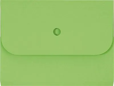 Produktbild von Elco ordo forte - Dokumenttasche - für 220 x 310 mm - Intense Green (Packung mit 25)