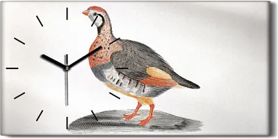 Produktbild von Wandbild Leinwand Bilder mit Uhr Geräuschlos 60x30 Zeichnung Tier Vogel Kunst - schwarze Hände