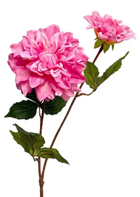 Obrázok produktu pre Clayre & Eef, umelá kvetina Rosa, plast