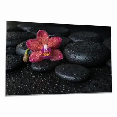 Produktbild von Wallario Herdabdeckplatte aus Glas, Größe 80 x 52 cm 2-teilig, Motiv Orchideen-Blüte auf schwarzen Steinen, benetzt mit Wasser-Tropfen