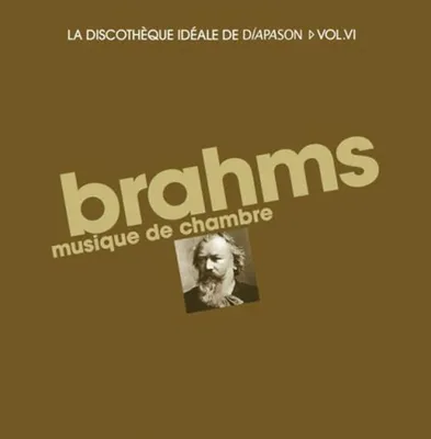 Image de Brahms. Musique de Chambre. 12 CDs.