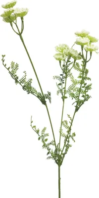 Produktbild von artplants.de Kunstblumen Zweig Schafgarbe YISUAN, weiß, 50 cm - Künstliche Blume