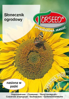 Produktbild von Sonnenblumenkerne 10g - Torseed