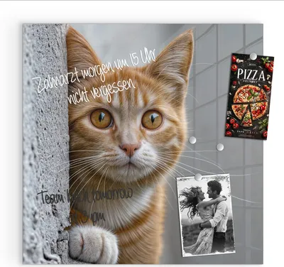 Produktbild von Magnettafel 30x30cm Pinnwand Whiteboard beschreibbar - Neugierige Katze