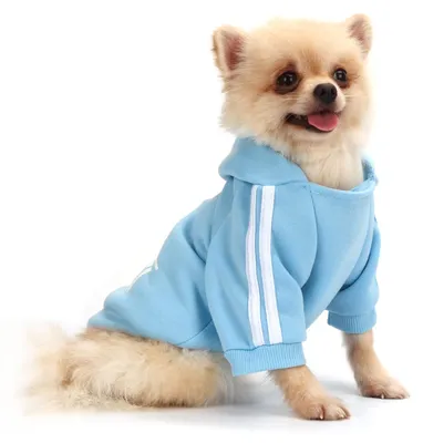 Productafbeelding van QiCheng&LYS Hondenmantel, Hondenhoodies, Kleding voor huisdieren, Puppy's, Katten, Schattige katoenen kleding