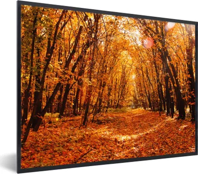 Produktbild von MuchoWow® Gerahmtes Poster Herbst - Wald - Laub - Jahreszeiten 80x60 cm - Poster mit Schwarzem Bilderrahmen Wandposter Rahmen Foto Bilder - Schwarzem - Mit Gestell