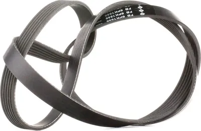 Produktbild von INA Keilrippenriemen 1555mm für FORD Fiesta Mk6 Schrägheck (JA8, JR8) FB 6PK1555