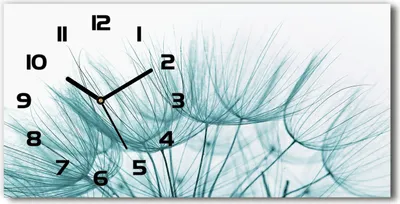 Produktbild von Wanduhr aus Glas – 60x30 cm - Glasbild - Glasuhr - Gehärtetes Glas - schwarze-zeiger - Löwenzahn Samen