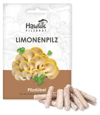Produktbild von Hawlik Pilzbrut Limonenpilze Dübel – 20 Pilzdübel, Pilze anbauen auf Holz Stroh oder Kaffeesatz