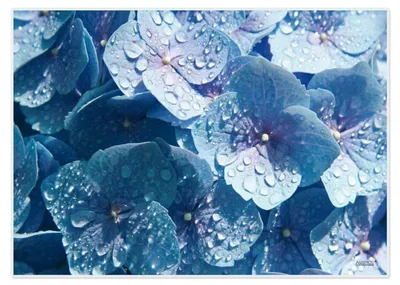 Imagen del producto de Juego de 4 manteles individuales lavables, diseño "Hortensia Azul", 42x30 cm