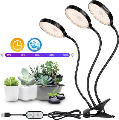 Three LED grow lights with flexible goosenecks clipped to a surface, illuminating a collection of potted succulents.