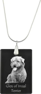Produktbild von Glen of Imaal Terrier, Irischer Glen of Imaal Terrier - Kristallanhänger mit Hund, Silberhalskette mit Foto, personalisierter Anhänger der Marke Art-Dog