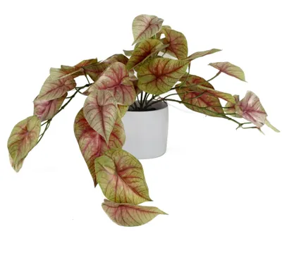 Zdjęcie produktu dla Leaf Design UK, sztuczna roślina z doniczką, realistyczna