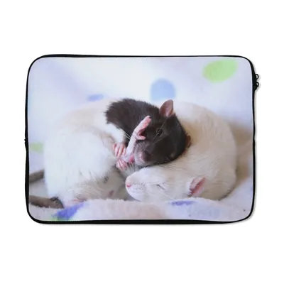 Produktbild von MuchoWow® Laptop Hülle 13 Zoll Knuddelige Ratten Laptoptasche - Laptophülle - Sleeve - Rundumschutz