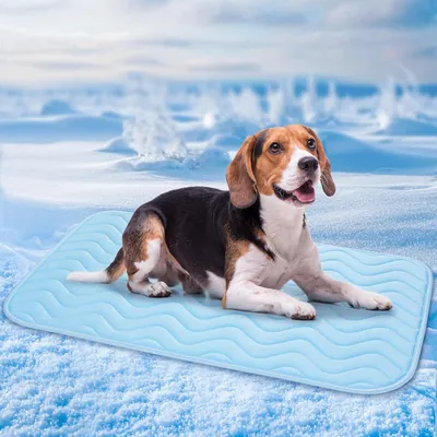 Produktbild von Sonstiges Hundezubehör Baodan Kühlmatte für Hunde, 75 x 55 cm, waschbare Kühlmatte für Hunde, selbstkühlende Pads für Hunde und Katzen im heißen Somme