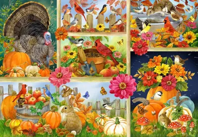 Produktbild von Bluebird Puzzle Herbstfarben Puzzle - 1000 Teile