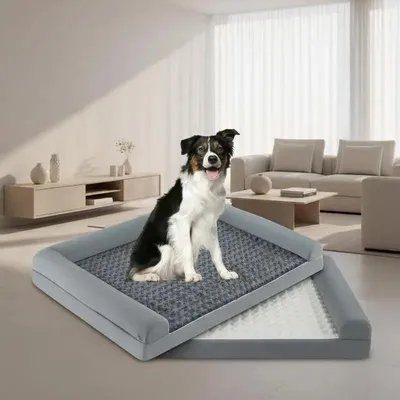 Produktbild von Orthopädisches Schaum Hundebett XL mit eiförmigem Schaumkissen