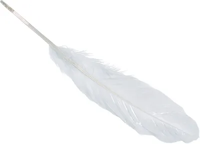 Produktbild von Gänsefedern ca. 16 - 21cm weiß VE=5x8 Stück