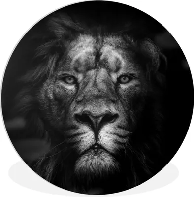 Produktbild von MuchoWow® Rundes Wandbild - Runde Bilder Tiere - Löwe - Raubtier - Schwarz - Weiß Ø 60 cm Kreis Wanddekoration Kunststoff - Wandkreis - Wandschmuck - Wand Kreis - Das Schlafzimmer - Die Bilder - Wandmalerei - Kunst für das Haus - das Plastik