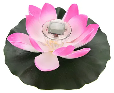 Image de Lampe LED solaire à fleurs changeant de couleur, lampe flottante pour jardin, piscine ou bassin, rose vif