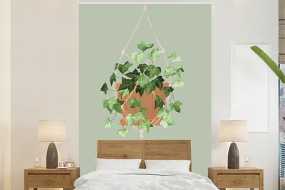 Produktbild von MuchoWow® Fototapete für Wohnzimmer oder Schlafzimmer Wandtapete Vinyl Motivtapete Pflanze - Hängepflanze - Rebe - 170x260 cm - Wohnzimmertapete