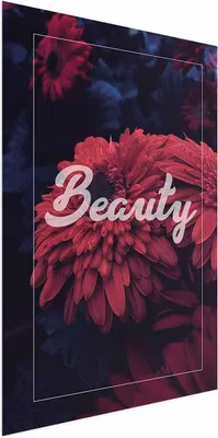 Produktbild von Posterpapier Poster - Beauty 21x30 cm Text b-C-0283-ao-a
