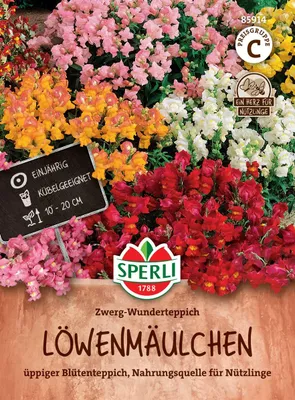 Produktbild von SPERLI Löwenmäulchensamen Zwerg Wunderteppich Antirrhinum majus 60 Pflanzen