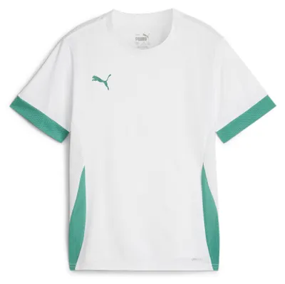 Produktbild von Puma Teamgoal Matchday Trikot Kurzarm Kinder - Weiß / Grün