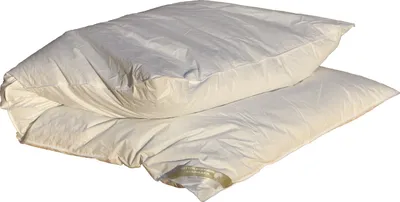 Produktbild von Betten Hofmann Winterbett Oberbett Daunenbett Ballonbett 155x220 cm 2300g 60% Daunenanteil