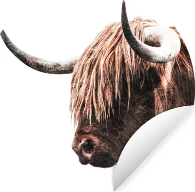 Produktbild von MuchoWow® Runde Wandtattoo - Wandsticker Tapete Aufkleber Schottischer Highlander - Tiere - Hörner Ø 30 cm Selbstklebend und Repositionierbar - Wandaufkleber - Kreis - Wandbild - Fototapete - Selbstklebend - Dekoration - Wandschmuck - Schlafzimmer