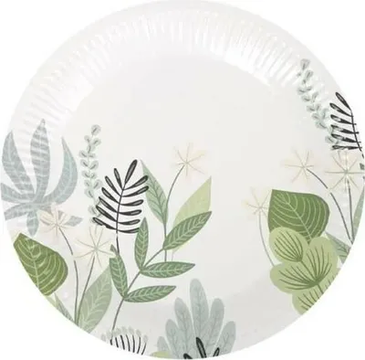 Immagine prodotto di Set di piatti algon monouso per fioriere 12 pezzi 18 cm (24 pezzi)