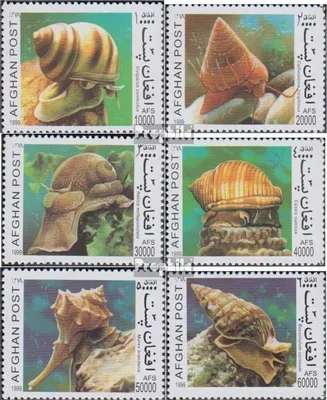 Produktbild von Briefmarken Afghanistan 1999 Mi 1870-1875 (kompl.Ausg.) postfrisch Schnecken