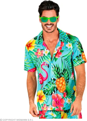 Produktbild von Hemd Summer Party türkis Flamingo Hawaii, Groesse:XXL