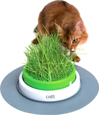 Zdjęcie produktu dla Catit Senses | Zestaw dla kota | Miseczka wraz z trawą ogrodową |  5.5 x 37 x 37 cm