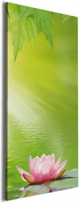 Produktbild von Wallario Premium Leinwandbild Seerose auf dem Wasser in Größe 60 x 150 cm