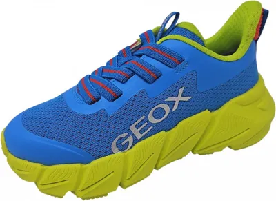 Image de Geox lacets bleu
