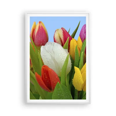 Produktbild von Gerahmtes Poster - Weißer Rahmen - Tulpen Blumenstrauß Blumen Tau - 70x100 cm - Wand Bild - Wanddeko - Wandbilder - Wandposter - Bilderrahmen - Bilder - Kunstdruck - Wandbild - P2WPA70x100-2526